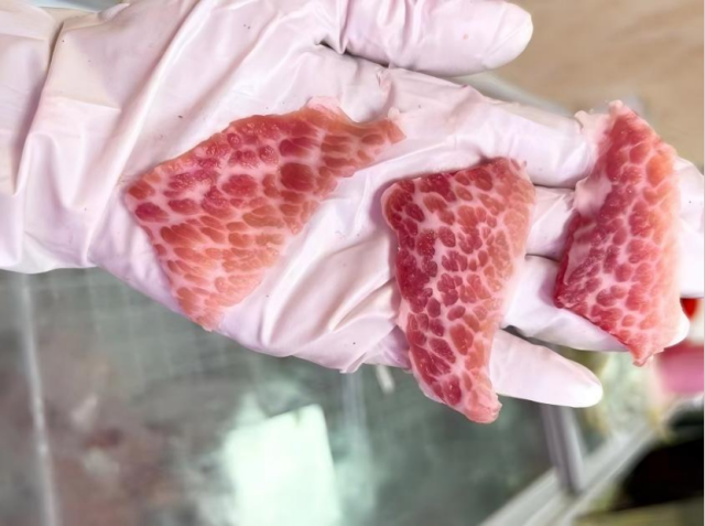 紧张局势加剧！鲍威尔坚持不降息 特朗普要求美联储理事会“介入”