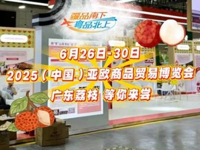 跟着广东荔枝，在新疆逛吃逛吃！