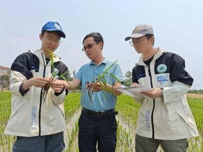 陈楚铭：让实验室微光照进田野｜深梦扬帆·深圳“新引力”