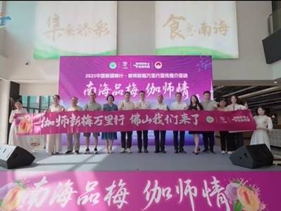 “梅”好相约，伽师新梅万里行走进佛山