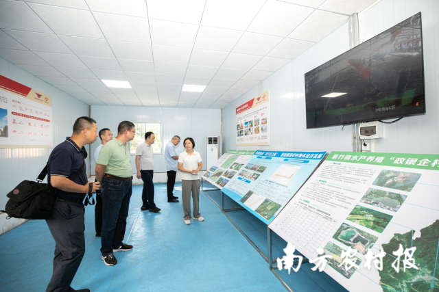 媒体采风团调研新兴县簕竹镇榄根村委黄塘村。