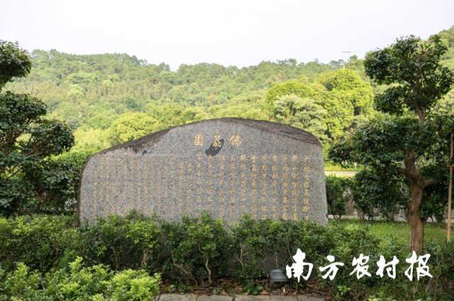 媒体采风团走进六祖故里旅游度假区。