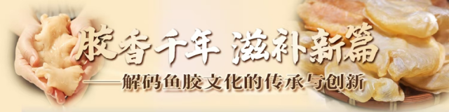花胶滋补新风尚：从“这很补”到“这很潮”