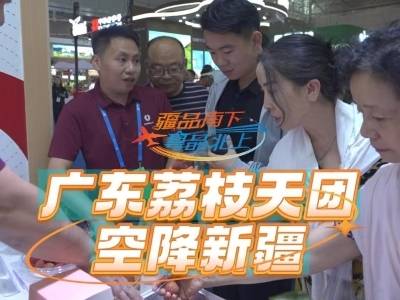 广东荔枝天团空降新疆啦！