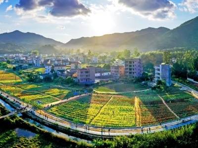 五华“百千万工程”解法：首创助力金筹1.3亿，干群同心激活百万人口新动能