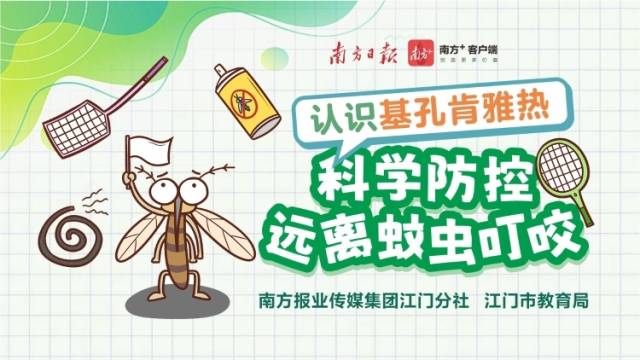 基孔肯雅热怎么防？别怕，江门这场网课来支招！
