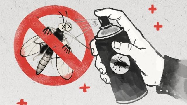 别让蚊子“叮”出大麻烦！基孔肯雅热防护重点来了