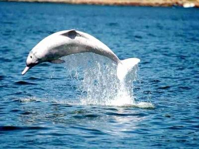 早安！今天全国人民收到一个特别的问候