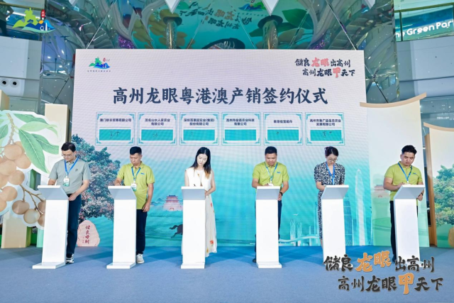 高州龙眼粤港澳产销签约