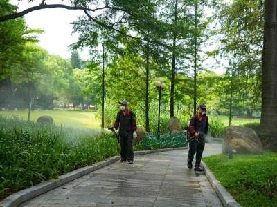 惠州新增4例基孔肯雅热本地病例