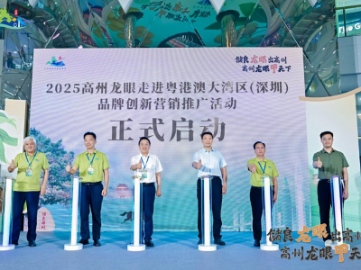 意向采购超200吨！2025高州龙眼走进粤港澳大湾区（深圳）活动隆重举行