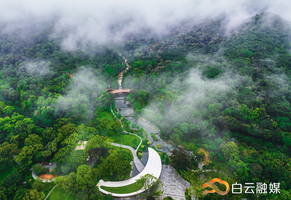 ▲云溪植物园