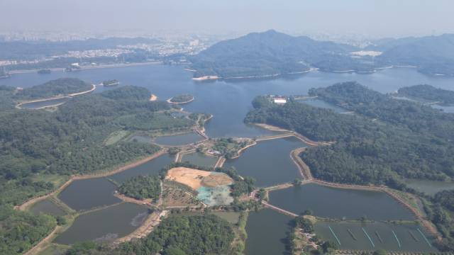 东莞东城一项目入选省级绿美碧带项目名单  通讯员 水务 供图