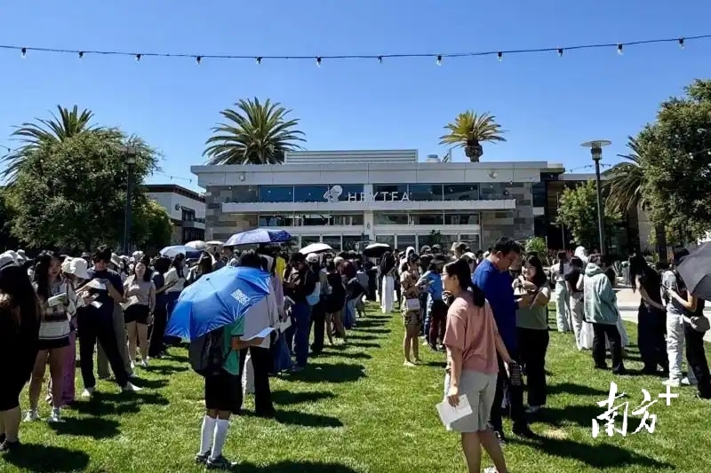 喜茶美国加州库比蒂诺市CupertinoMainSt（苹果总部所在地）门店开业当日。苹果牌海