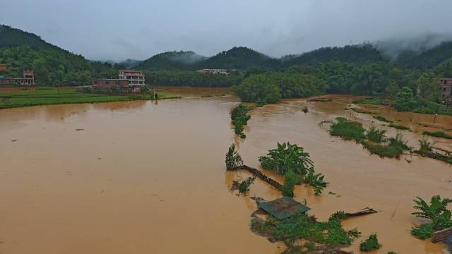 永固镇农田受浸