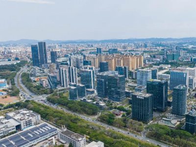 松山湖上半年金融数据亮眼，多个领域迸发澎湃动能