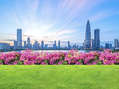 接近5000亿！广东经济第一区上半年经济数据出炉