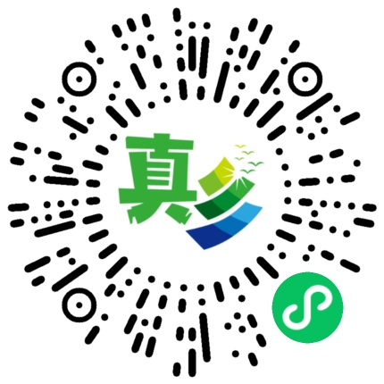 码上投票