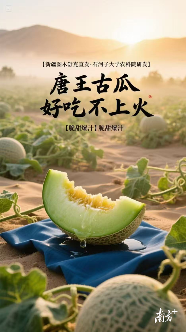唐王古瓜“好吃不上火”宣传海报。 唐王古瓜“好吃不上火”宣传海报。