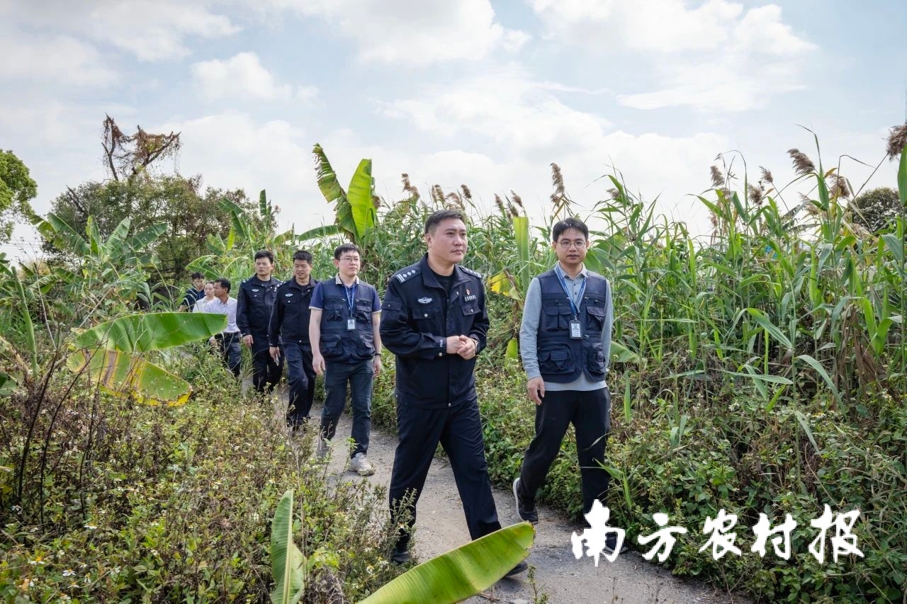 东莞市开展“清风行动2025”暨春季护鸟联合执法行动