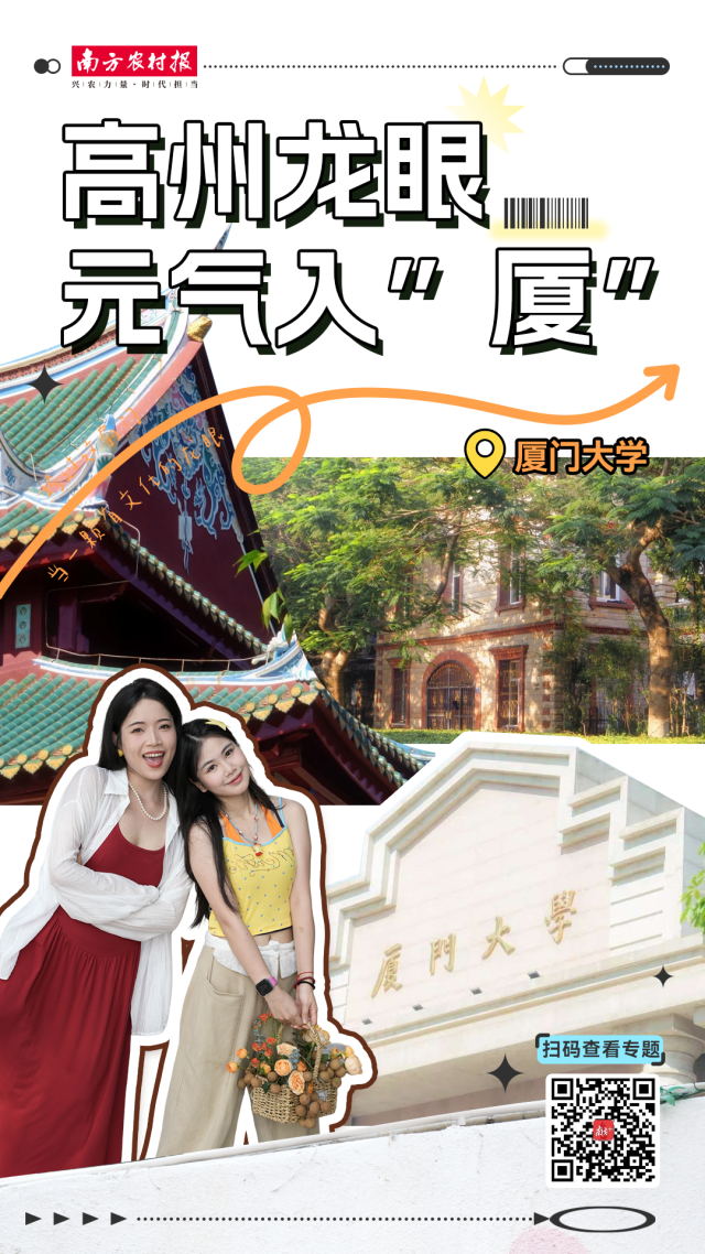白羽鸡苗价格在一个月内上涨180%：是趋势逆转还是短暂现象？
