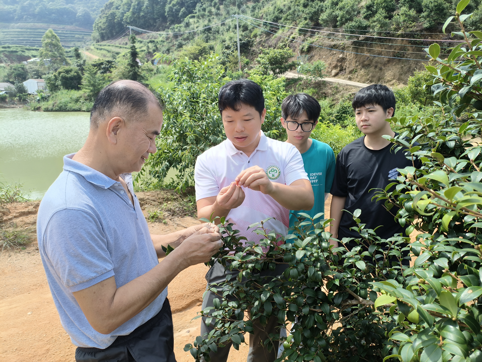 专家油茶团队深入各地开展科技服务  