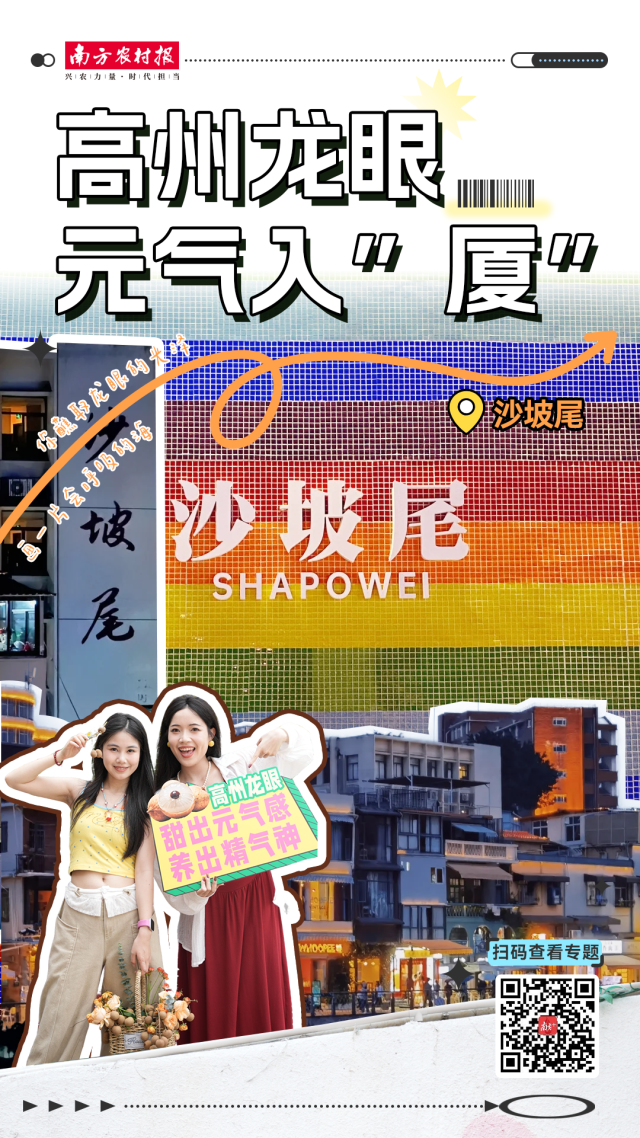 安森美半导体(ON.US)Q2营收超出预期但同比下降15.5% 股价跌近5%