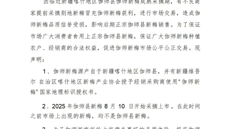 认准正宗伽师新梅！喀什地区新梅产业协会发布公告