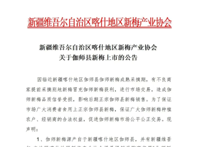 认准正宗伽师新梅！喀什地区新梅产业协会发布公告