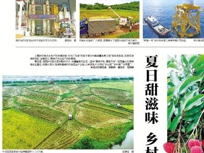 夏日甜滋味 乡村好“丰”光｜速览《南方日报·阳西视窗》第193期