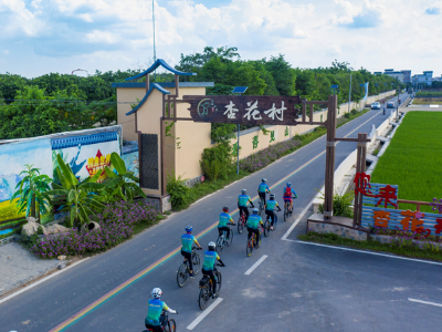 韶关成立农村集体经济发展协会，高州布局“微短剧+三农” | “百千万”周周见