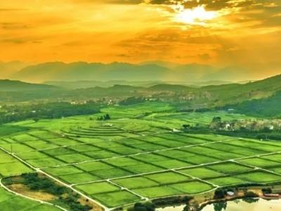 韶关浈江犁市镇以“小田变大田”走出乡村振兴“新路子”