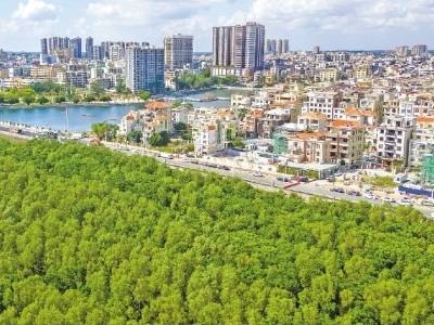 地区生产总值增长3.2%  工业投资增速41.8%｜速览《南方日报·电白视窗》第228期