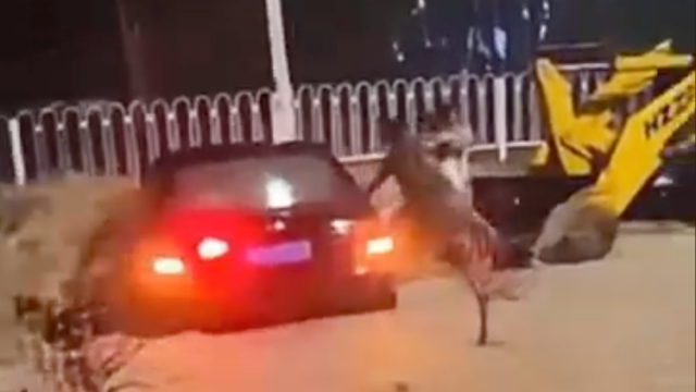 致敬逆行者！肇庆端州暴雨 ，挖掘机师傅在洪水中成功营救被困人员