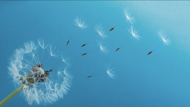 推进国际传播能力建设 全面提升国际传播效能