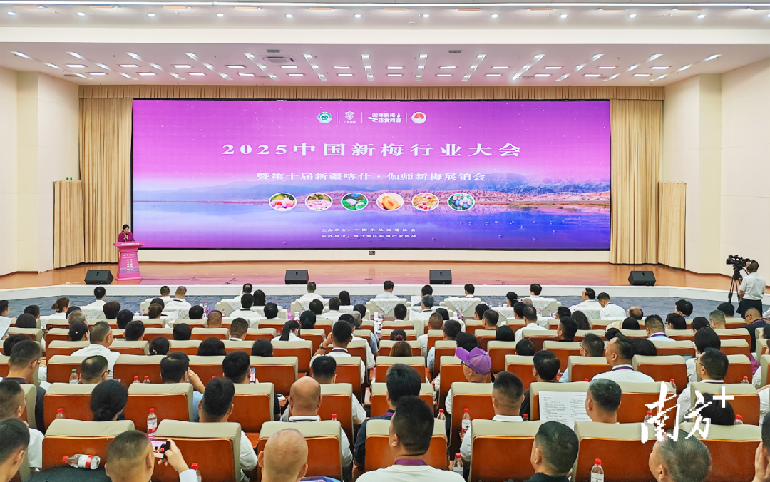 2025中国新梅行业大会暨第十届新疆喀什·伽师新梅展销会开幕。订单第届
