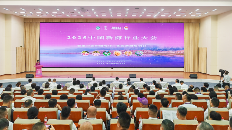 签约订单超21亿元！2025中国新梅行业大会暨第十届新疆喀什·伽师新梅展销会举办