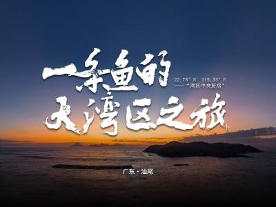 汕尾领“鲜”｜一条鱼的大湾区之旅