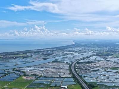 6000亩碧波作答，大沟镇如何养好一条石斑鱼？|“百千万”三年冲刺·瞰阳东⑧