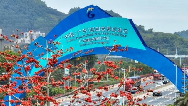 视频｜广东省交通运输厅田碧峰：南沙港区跻身世界第六，锚定国际航运新高地