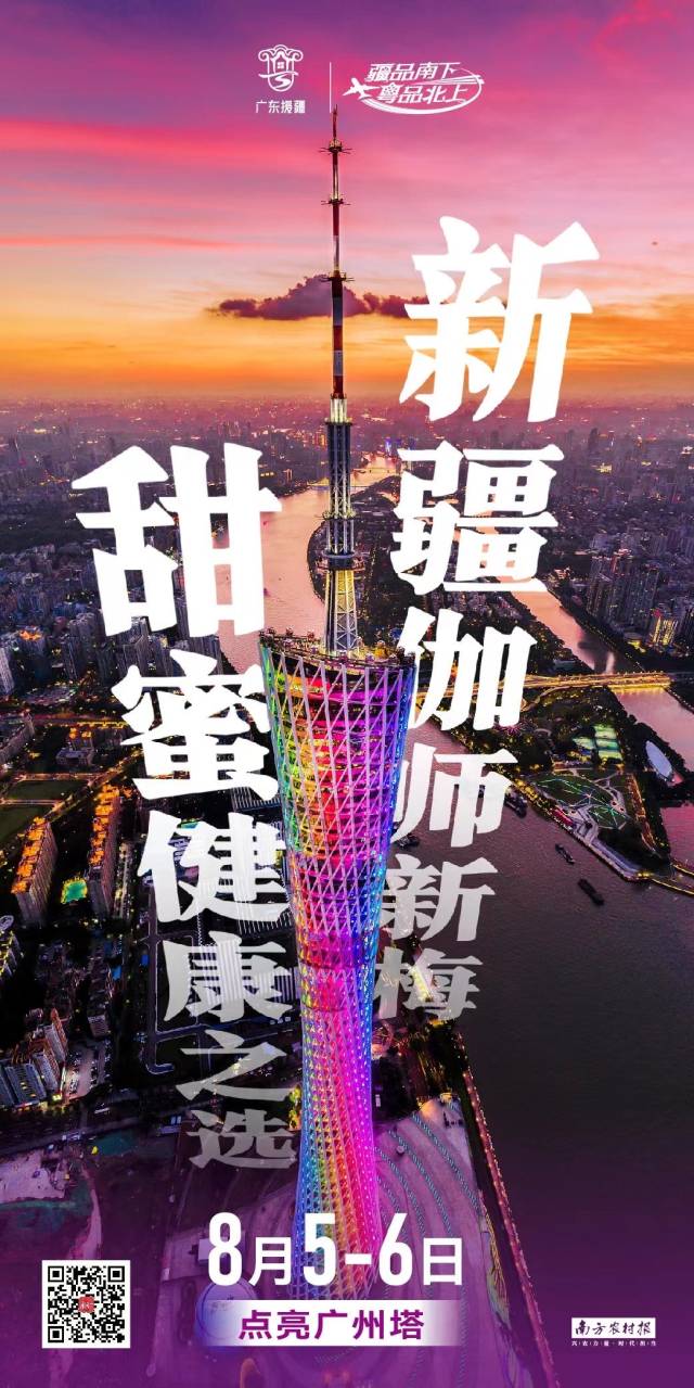 伽师新梅点亮广州塔
