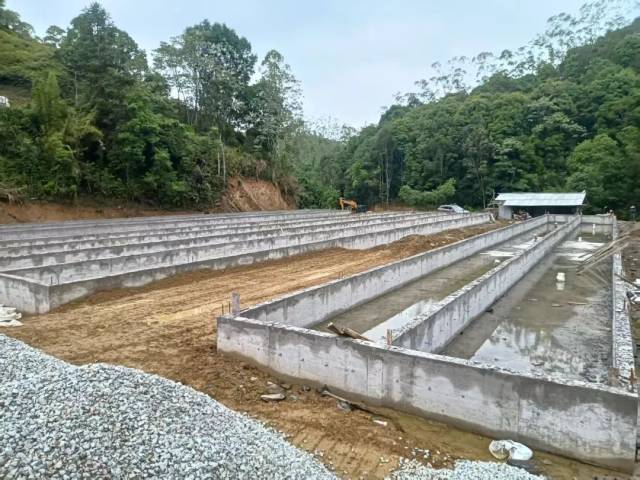 紫金县龙窝镇琴星村现代家庭农场项目建设现场。