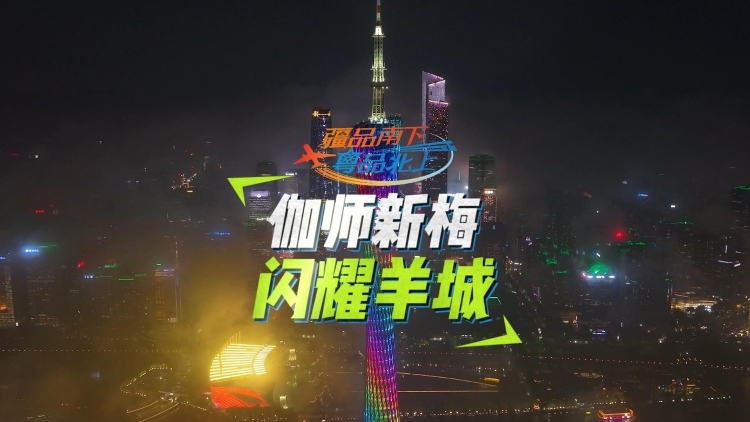 视频 | 伽师新梅闪耀羊城
