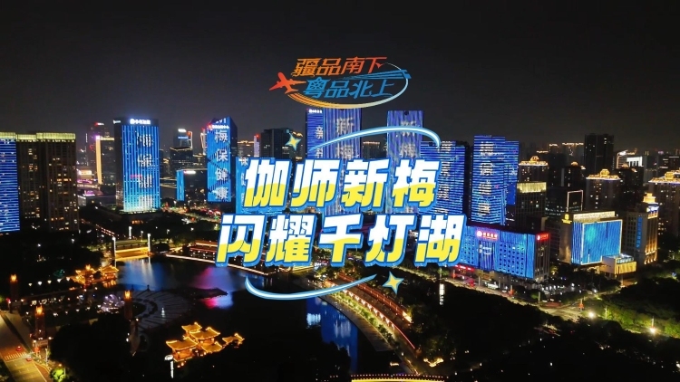 视频 | 伽师新梅闪耀千灯湖