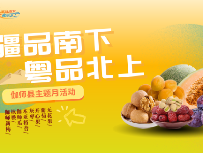 粤疆同心 共品甜香 | “疆品南下 粤品北上”伽师县主题月活动启幕