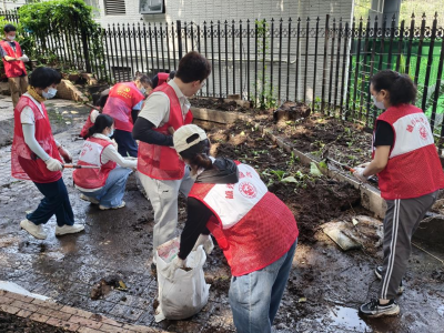 黄花岗街联合省科学院开展爱国卫生行动，筑牢蚊媒防控屏障