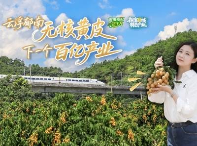 你吃过郁南无核黄皮吗？来自广东的特色水果产值超80亿元｜粤来粤好百千万