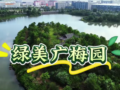 视频｜广梅产业园打造宜居宜业“绿美园区”