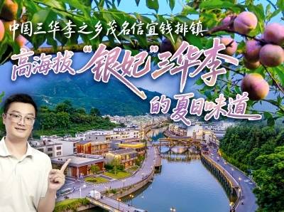 解锁三华李的N种吃法，来茂名信宜｜粤来粤好百千万