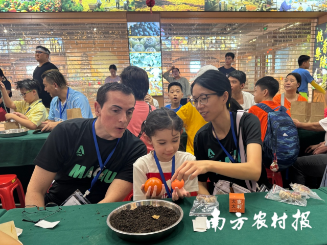 西班牙籍亲子团成员Fombellida（左一）和家人体验新会柑普茶制作。